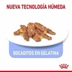 Pack 12 Royal Canin Indoor Sterilised Comida Húmeda En Salsa Para Gato Adulto Esterilizado De Interior 14 Pack 12 Royal Canin Indoor Sterilised Comida Húmeda En Salsa Para Gato Adulto Esterilizado De Interior -Suministros De Mascotas Ventas 2024 188602 rc spt wet ind7sterjelly cv 3 es es 4 g