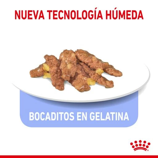 Pack 12 Royal Canin Indoor Sterilised Comida Húmeda En Salsa Para Gato Adulto Esterilizado De Interior 7 Pack 12 Royal Canin Indoor Sterilised Comida Húmeda En Salsa Para Gato Adulto Esterilizado De Interior - Imagen 5