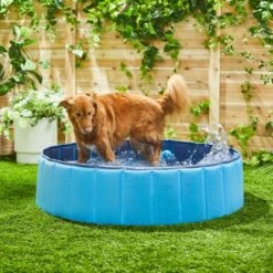 Trixie Piscina Para Perros -Suministros De Mascotas Ventas 2024 193510 MAIN AC SS600 V1613601708 62a7519b549d8 g