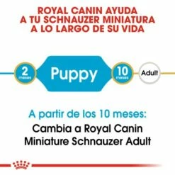 Royal Canin Miniature Schnauzer Puppy Pienso Para Cachorro De Raza -Suministros De Mascotas Ventas 2024 22239 3 2 g