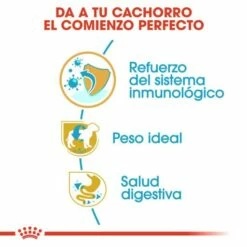 Royal Canin Miniature Schnauzer Puppy Pienso Para Cachorro De Raza -Suministros De Mascotas Ventas 2024 22239 4 3 g