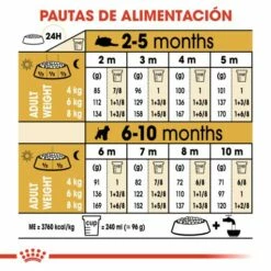 Royal Canin Miniature Schnauzer Puppy Pienso Para Cachorro De Raza -Suministros De Mascotas Ventas 2024 22239 9 8 g