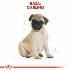 Royal Canin Pug Puppy Pienso Para Cachorro Carlino -Suministros De Mascotas Ventas 2024 22240 6 5 g