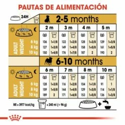 Royal Canin Pug Puppy Pienso Para Cachorro Carlino -Suministros De Mascotas Ventas 2024 22240 7 6 g