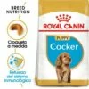 Royal Canin Cocker Puppy Pienso Para Cachorro De Raza -Suministros De Mascotas Ventas 2024 22241 1 0 g