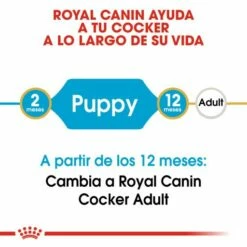 Royal Canin Cocker Puppy Pienso Para Cachorro De Raza 13 Royal Canin Cocker Puppy Pienso Para Cachorro De Raza -Suministros De Mascotas Ventas 2024 22241 3 2 g