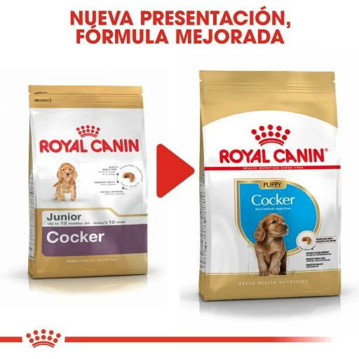 Royal Canin Cocker Puppy Pienso Para Cachorro De Raza 10 Royal Canin Cocker Puppy Pienso Para Cachorro De Raza - Imagen 8