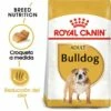 Royal Canin Bulldog Adult Pienso Para Perro Adulto De Raza 1 Royal Canin Bulldog Adult Pienso Para Perro Adulto De Raza -Suministros De Mascotas Ventas 2024 23 1 0 g