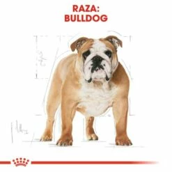 Royal Canin Bulldog Adult Pienso Para Perro Adulto De Raza -Suministros De Mascotas Ventas 2024 23 3 2 g