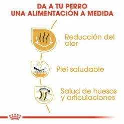 Royal Canin Bulldog Adult Pienso Para Perro Adulto De Raza -Suministros De Mascotas Ventas 2024 23 5 4 g