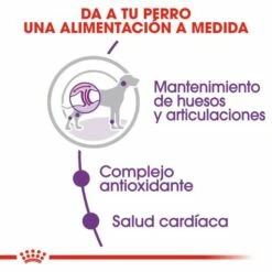 Royal Canin Giant Adult Pienso Para Perro Adulto De Razas Tamaño Gigante -Suministros De Mascotas Ventas 2024 25 4 3 g