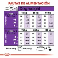 Royal Canin Giant Adult Pienso Para Perro Adulto De Razas Tamaño Gigante -Suministros De Mascotas Ventas 2024 25 6 5 g