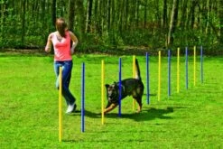 Karlie Flamingo Kit 12 Postes - Agility Slalom Para Perro