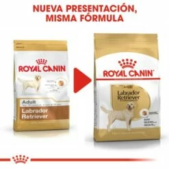 Royal Canin Labrador Retriever Adult Pienso Para Perro Adulto De Raza -Suministros De Mascotas Ventas 2024 28 6 5 g