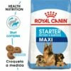 Royal Canin Maxi Starter Pienso Para Cachorros Y Madres Lactantes Tamaño Grande -Suministros De Mascotas Ventas 2024 308 1 0 g