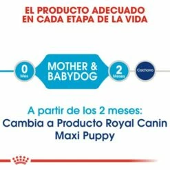 Royal Canin Maxi Starter Pienso Para Cachorros Y Madres Lactantes Tamaño Grande 14 Royal Canin Maxi Starter Pienso Para Cachorros Y Madres Lactantes Tamaño Grande -Suministros De Mascotas Ventas 2024 308 3 2 g