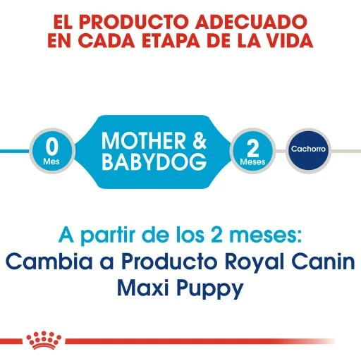Royal Canin Maxi Starter Pienso Para Cachorros Y Madres Lactantes Tamaño Grande 5 Royal Canin Maxi Starter Pienso Para Cachorros Y Madres Lactantes Tamaño Grande - Imagen 3