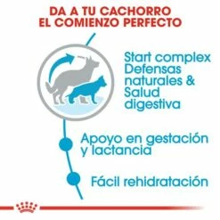 Royal Canin Maxi Starter Pienso Para Cachorros Y Madres Lactantes Tamaño Grande 15 Royal Canin Maxi Starter Pienso Para Cachorros Y Madres Lactantes Tamaño Grande -Suministros De Mascotas Ventas 2024 308 4 3 g