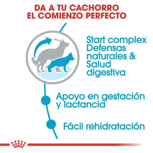 Royal Canin Maxi Starter Pienso Para Cachorros Y Madres Lactantes Tamaño Grande 6 Royal Canin Maxi Starter Pienso Para Cachorros Y Madres Lactantes Tamaño Grande - Imagen 4