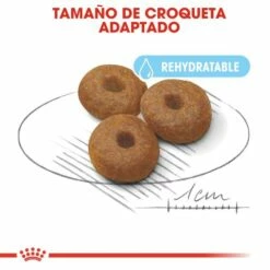 Royal Canin Maxi Starter Pienso Para Cachorros Y Madres Lactantes Tamaño Grande 16 Royal Canin Maxi Starter Pienso Para Cachorros Y Madres Lactantes Tamaño Grande -Suministros De Mascotas Ventas 2024 308 5 4 g