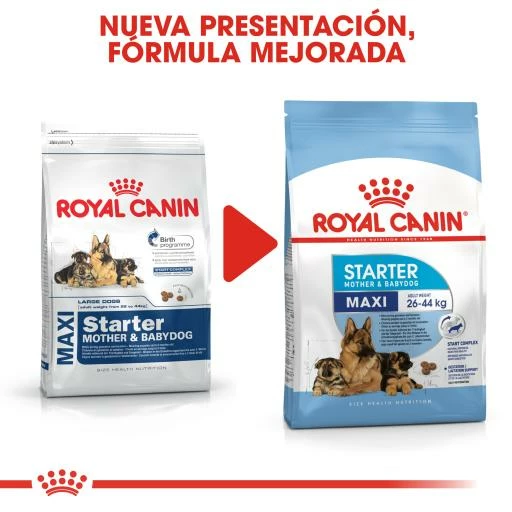Royal Canin Maxi Starter Pienso Para Cachorros Y Madres Lactantes Tamaño Grande 8 Royal Canin Maxi Starter Pienso Para Cachorros Y Madres Lactantes Tamaño Grande - Imagen 6