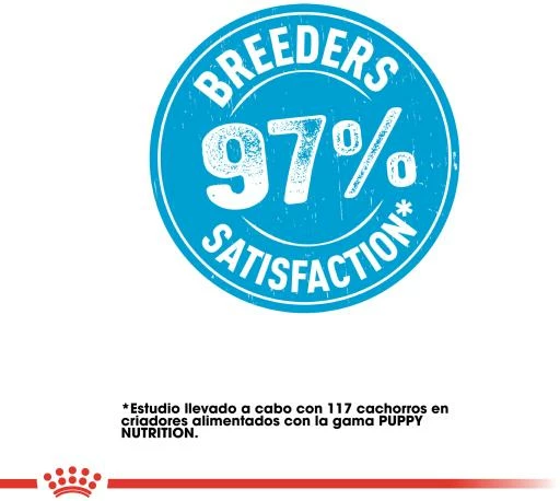 Royal Canin Maxi Starter Pienso Para Cachorros Y Madres Lactantes Tamaño Grande 10 Royal Canin Maxi Starter Pienso Para Cachorros Y Madres Lactantes Tamaño Grande - Imagen 8