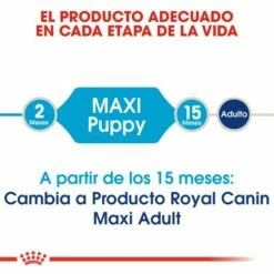Royal Canin Maxi Puppy Pienso Para Cachorros De Razas Tamaño Grande -Suministros De Mascotas Ventas 2024 32 3 2 g