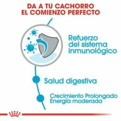 Royal Canin Maxi Puppy Pienso Para Cachorros De Razas Tamaño Grande -Suministros De Mascotas Ventas 2024 32 4 3 g