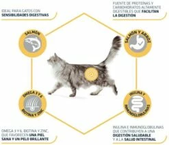 Advance Pienso Sensitive De Salmón Y Arroz Para Gato Adulto -Suministros De Mascotas Ventas 2024 3358 3 3 g