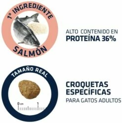 Advance Pienso Sensitive De Salmón Y Arroz Para Gato Adulto -Suministros De Mascotas Ventas 2024 3358 4 4 g