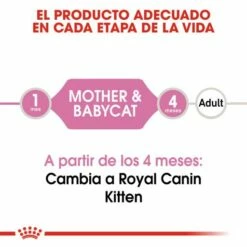 Pack 12 Royal Canin Mother & Babycat Comida Húmeda Para Gatitos Y Gatas Lactantes -Suministros De Mascotas Ventas 2024 3446 2 g