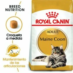 Royal Canin Maine Coon Pienso Para Gato Adulto De Raza
