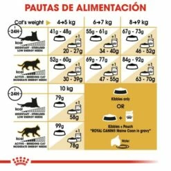 Royal Canin Maine Coon Pienso Para Gato Adulto De Raza -Suministros De Mascotas Ventas 2024 3459 4 g