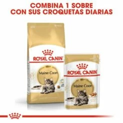 Royal Canin Maine Coon Pienso Para Gato Adulto De Raza -Suministros De Mascotas Ventas 2024 3459 6 g