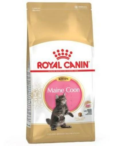 Royal Canin Kitten Maine Coon Pienso Para Gatito De Raza 4 Royal Canin Kitten Maine Coon Pienso Para Gatito De Raza - Imagen 2