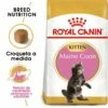 Royal Canin Kitten Maine Coon Pienso Para Gatito De Raza -Suministros De Mascotas Ventas 2024 3466 0 g
