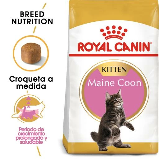 Royal Canin Kitten Maine Coon Pienso Para Gatito De Raza 3 Royal Canin Kitten Maine Coon Pienso Para Gatito De Raza