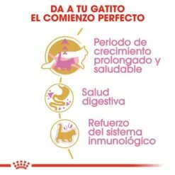 Royal Canin Kitten Maine Coon Pienso Para Gatito De Raza 14 Royal Canin Kitten Maine Coon Pienso Para Gatito De Raza -Suministros De Mascotas Ventas 2024 3466 2 g