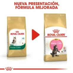 Royal Canin Kitten Maine Coon Pienso Para Gatito De Raza 18 Royal Canin Kitten Maine Coon Pienso Para Gatito De Raza -Suministros De Mascotas Ventas 2024 3466 6 g