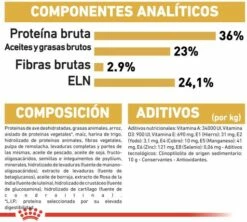 Royal Canin Kitten Maine Coon Pienso Para Gatito De Raza 19 Royal Canin Kitten Maine Coon Pienso Para Gatito De Raza -Suministros De Mascotas Ventas 2024 3466 7 g