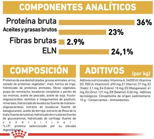 Royal Canin Kitten Maine Coon Pienso Para Gatito De Raza 11 Royal Canin Kitten Maine Coon Pienso Para Gatito De Raza - Imagen 9