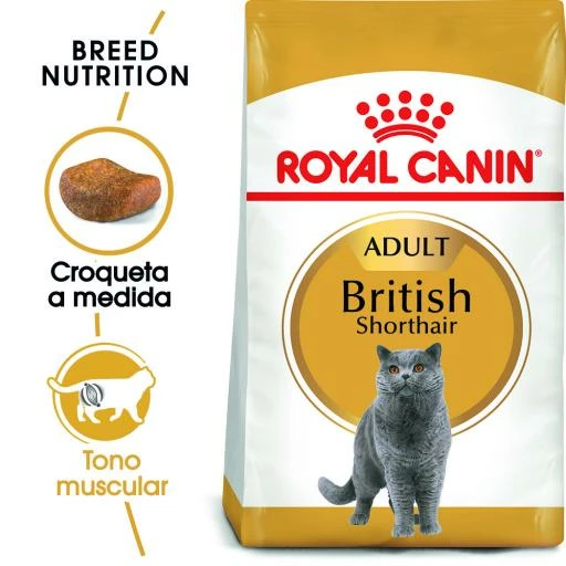 Royal Canin British Shorthair Pienso Para Gato Adulto De Raza 4 Royal Canin British Shorthair Pienso Para Gato Adulto De Raza - Imagen 2