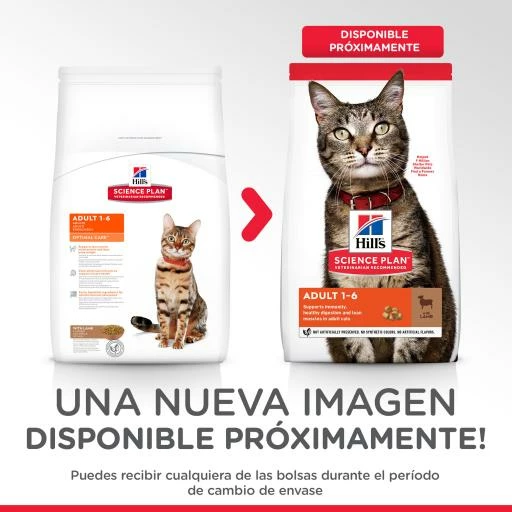 Hill's Pienso Science Plan Adult De Cordero Y Arroz Para Gatos 5 Hill's Pienso Science Plan Adult De Cordero Y Arroz Para Gatos - Imagen 3