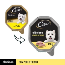Pack 14 Cesar Comida Húmeda Para Perros Sabor Pollo En Paté Tarrina -Suministros De Mascotas Ventas 2024 38197 1 g