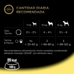 Pack 14 Cesar Comida Húmeda Para Perros Sabor Pollo En Paté Tarrina -Suministros De Mascotas Ventas 2024 38197 4 g