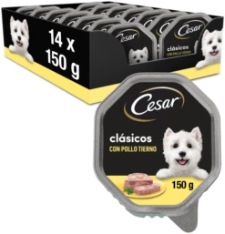 Pack 14 Cesar Comida Húmeda Para Perros Sabor Pollo En Paté Tarrina