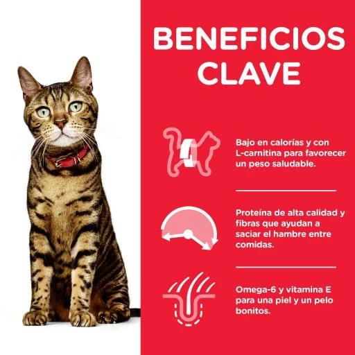 Hill's Pienso Science Plan Light Adult De Pollo Para Gatos 4 Hill's Pienso Science Plan Light Adult De Pollo Para Gatos - Imagen 2