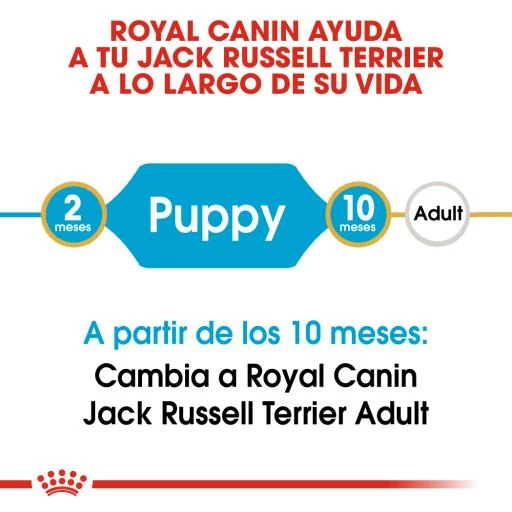 Royal Canin Jack Russell Terrier Puppy Pienso Para Cachorro De Raza 5 Royal Canin Jack Russell Terrier Puppy Pienso Para Cachorro De Raza - Imagen 3