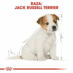 Royal Canin Jack Russell Terrier Puppy Pienso Para Cachorro De Raza 16 Royal Canin Jack Russell Terrier Puppy Pienso Para Cachorro De Raza -Suministros De Mascotas Ventas 2024 39614 6 5 g