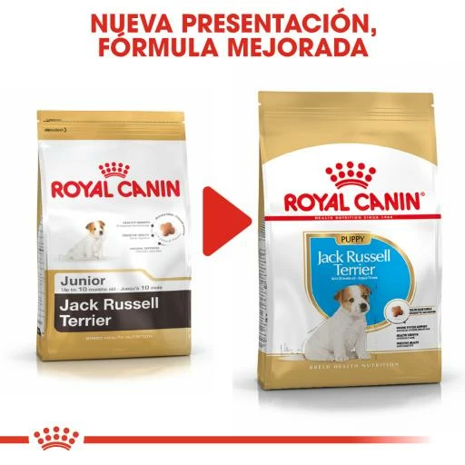 Royal Canin Jack Russell Terrier Puppy Pienso Para Cachorro De Raza 10 Royal Canin Jack Russell Terrier Puppy Pienso Para Cachorro De Raza - Imagen 8